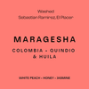 The fanciest coffee in our lineup (and a varietal I'd never tried before): the Maragesha! It's every bit as clean and sweet as you'd expect from a Gesha, with tasting notes of white peach and honey, with delicate jasmine. It's a beautiful washed coffee from Quindío and Huila in Colombia.